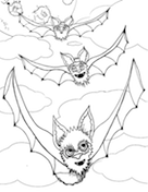 Three Flying Bats Coloring Page